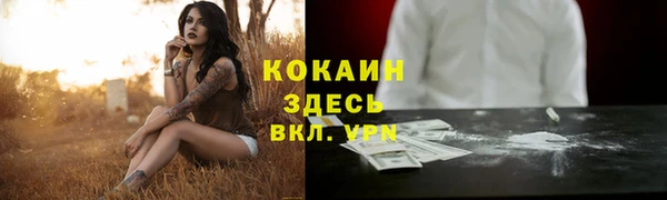 ешки Алексин
