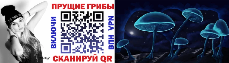 кракен ТОР  Коркино  Галлюциногенные грибы MAGIC MUSHROOMS  купить наркоту 