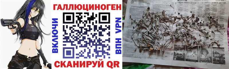 Псилоцибиновые грибы Psilocybine cubensis Коркино